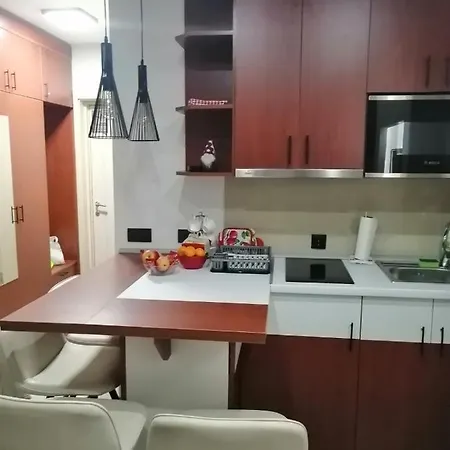 Tina Kop Apartments, Apartmán Kopaonik